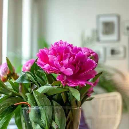 Champs-Élysées-Monceau-Luxury 2-Bedroom Apartment Appartement
